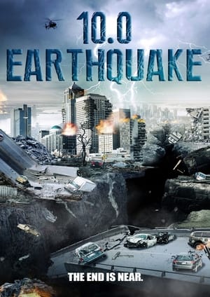 10.0 Earthquake 2014 Hindi Dual Audio 300MB HD Poster Download - filmyfly