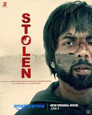 Stolen 2025 Hindi HD Poster Download - filmyfly