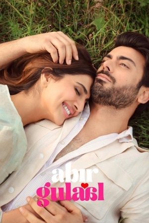 Abir Gulaal (2025) Hindi (MULTI AUDIO) – – HD Poster Download - filmyfly