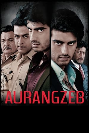Aurangzeb (2013) Hindi Movie [1.2GB] HD Poster Download - filmyfly