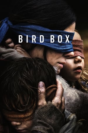 Bird Box 2018 Hindi (HQ DUBBED) Dual Audio 380MB HD Poster Download - filmyfly