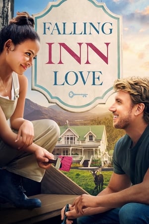 Falling Inn Love (2019) Hindi Dual Audio 300MB HD Poster Download - filmyfly