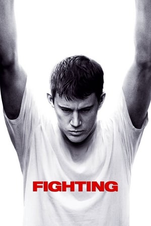 Fighting (2009) 100mb Hindi Dual Audio Download HD Poster Download - filmyfly