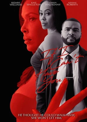 If I Can't Have You (2026) Hindi (MULTI AUDIO) – – HD Poster Download - filmyfly