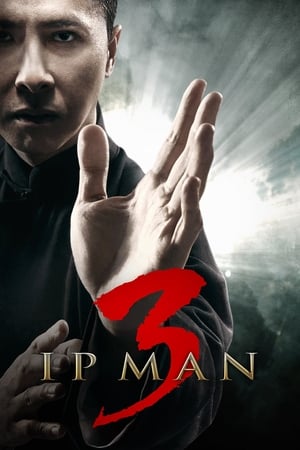 Ip Man 3 (2015) Hindi Dual Audio 400MB HD Poster Download - filmyfly