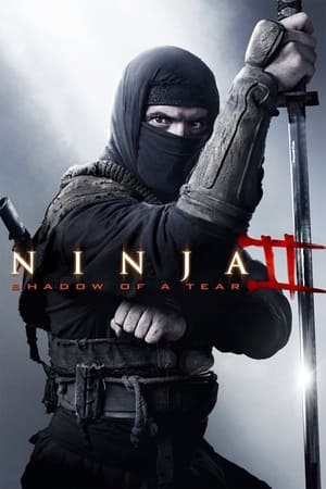 Ninja Shadow of a Tear 2013 Hindi Dual Audio [800MB] HD Poster Download - filmyfly