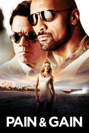 Pain & Gain 2013 400MB Dual Audio Hindi Download HD Poster Download - filmyfly