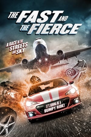 The Fast and the Fierce 2017 Hindi Dual Audio 300MB HD Poster Download - filmyfly
