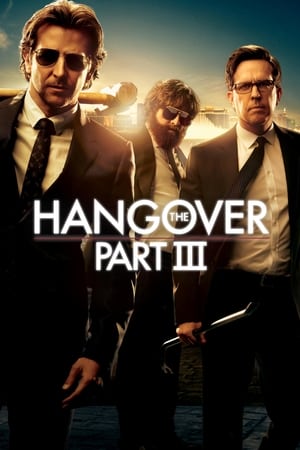 The Hangover Part III (2013) Hindi Dual Audio [850MB] HD Poster Download - filmyfly