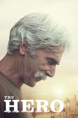 The Hero (2017) Hindi Movie [840MB] HD Poster Download - filmyfly