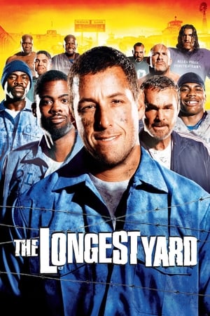 The Longest Yard (2005) Hindi Dual Audio 350MB HD Poster Download - filmyfly