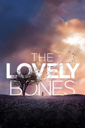 The Lovely Bones (2009) Hindi Dual Audio [1GB] HD Poster Download - filmyfly