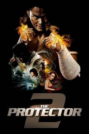 The Protector 2 (2013) 100mb Hindi Dual Audio movie Download HD Poster Download - filmyfly