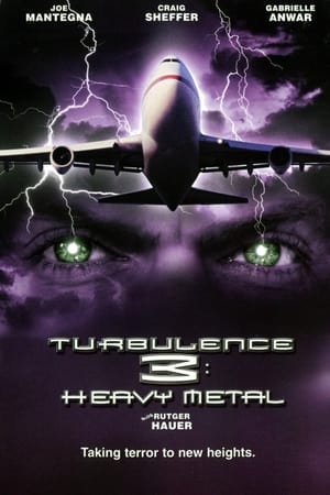 Turbulence 3 Heavy Metal 2001 Hindi Dual Audio 300MB HD Poster Download - filmyfly