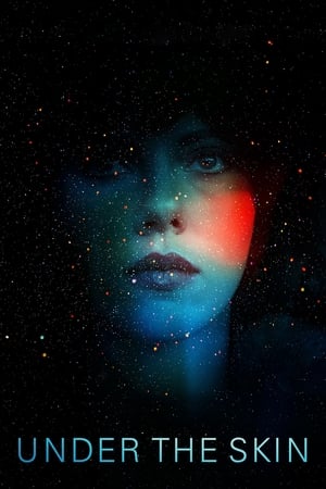 Under the Skin 2013 Hindi Dual Audio [850MB] HD Poster Download - filmyfly