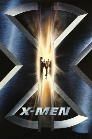 X-Men (2000) 100mb Hindi Dual Audio movie Download HD Poster Download - filmyfly